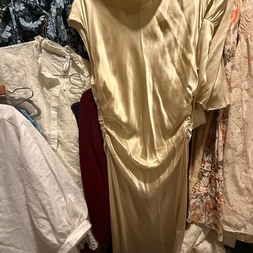 Reformation Veida Silk Dress - Picture 5 of 5